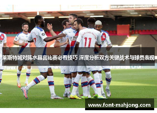 莱斯特城对阵水晶宫比赛必看技巧 深度分析双方关键战术与球员表现 莱斯特城对阵水晶宫比赛必看技巧 深度分析双方关键战术与球员表现